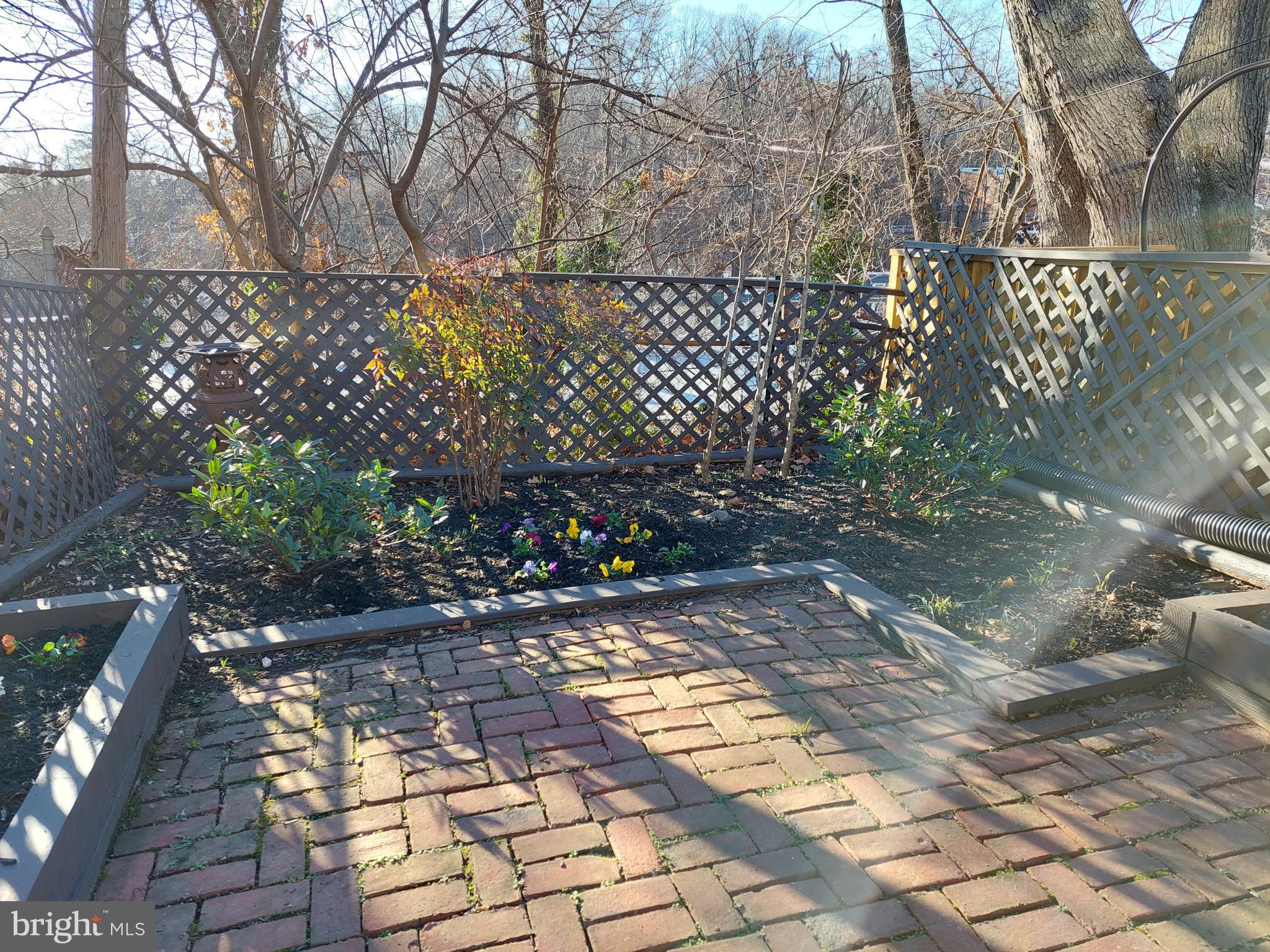 2020 Tunlaw Road Northwest Washington, DC 20007 - Photo 31 of 33 Garden with mature plantings & bulbs