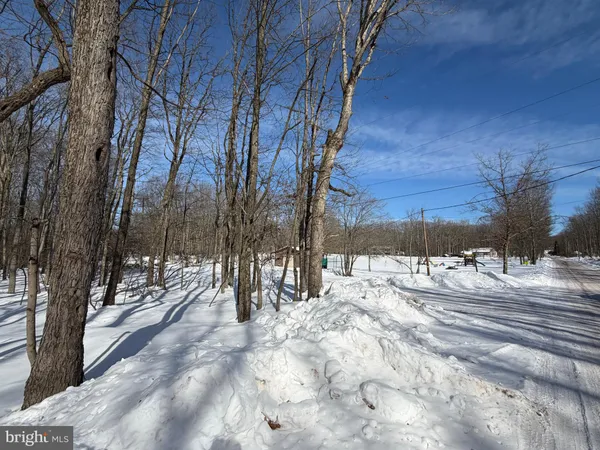 a view of a wooden bench under a tree