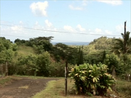 5688 Olohena Road Kapaa, HI 96746 - Photo 11 of 14 Gallery Image 11