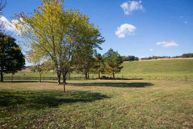 4575 Snapps Creek Road Harrisonburg, VA 22802 - Photo 25 of 30 Gallery Image 25