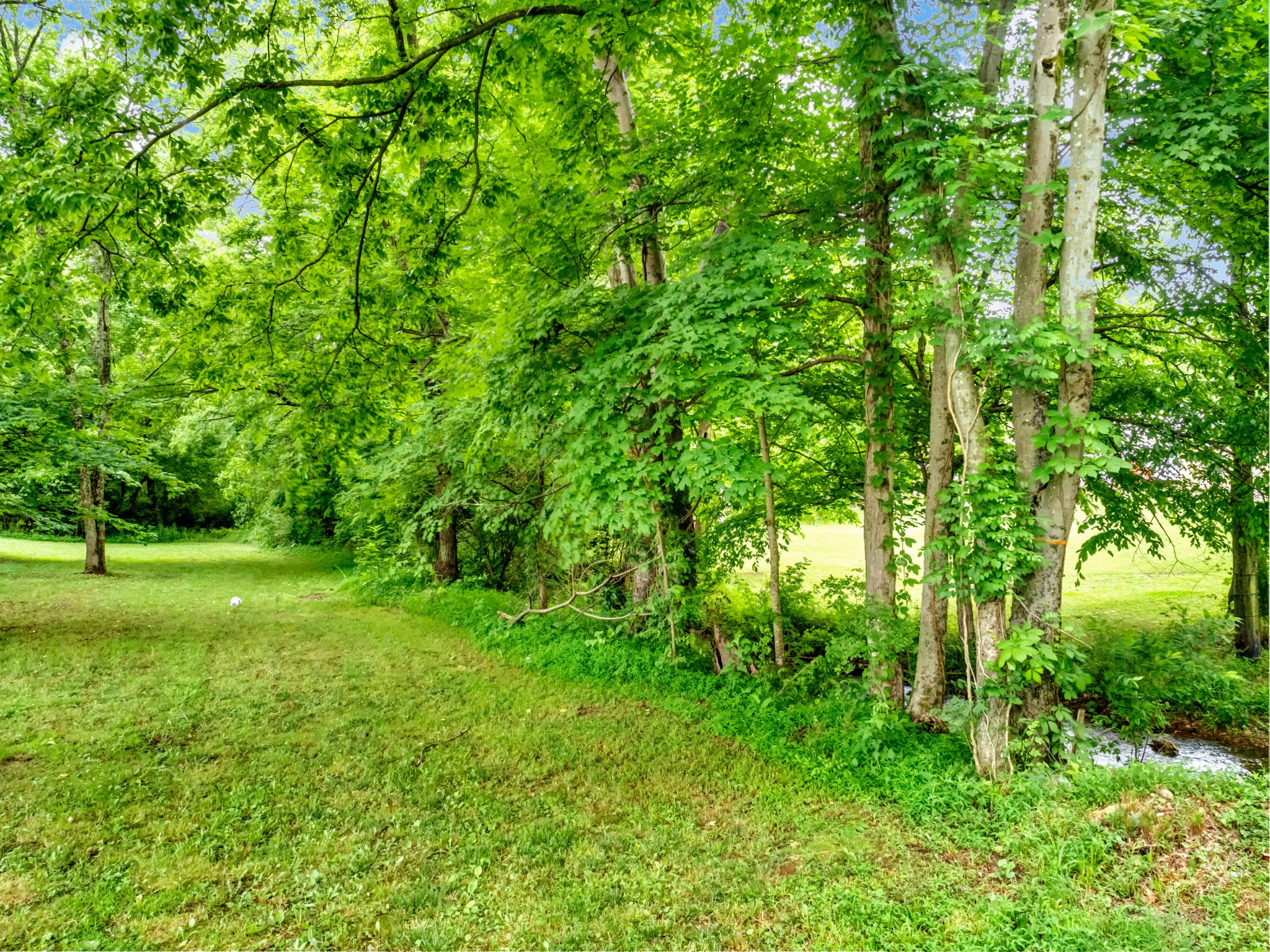 406 South Tunnel Road Gallatin, TN 37066 - Photo 12 of 39 Gallery Image 12