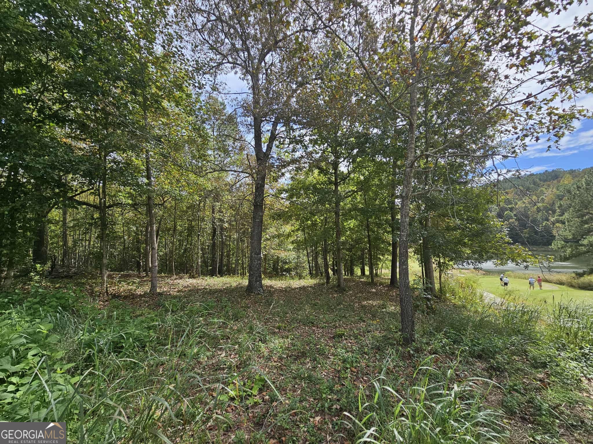 42 Lookout Point Toccoa, GA 30577 - Photo 1 of 26 a big yard with trees