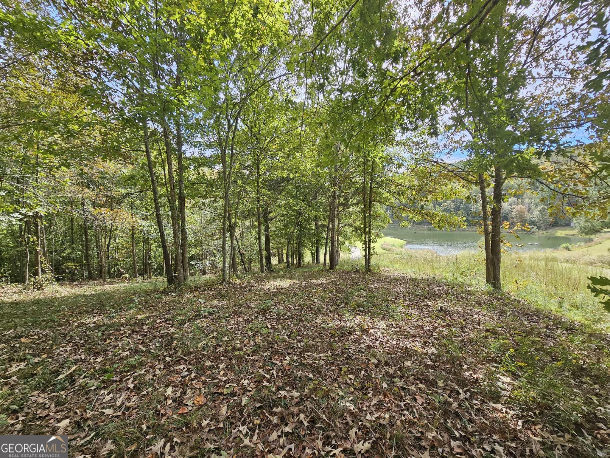 42 Lookout Point Toccoa, GA 30577 - Photo 11 of 26 a view of a yard with a tree