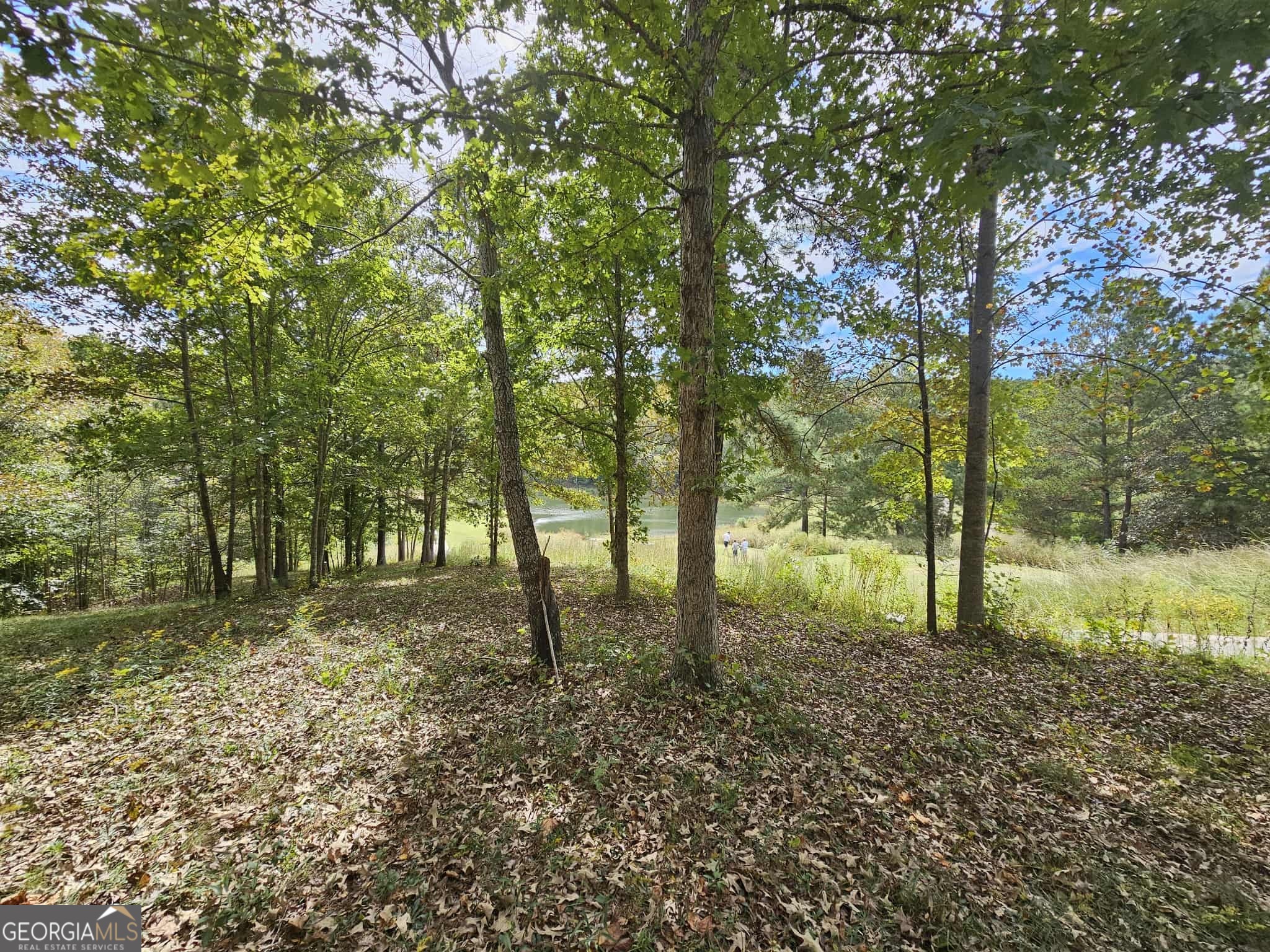 42 Lookout Point Toccoa, GA 30577 - Photo 12 of 26 a backyard of a house with lots of green space