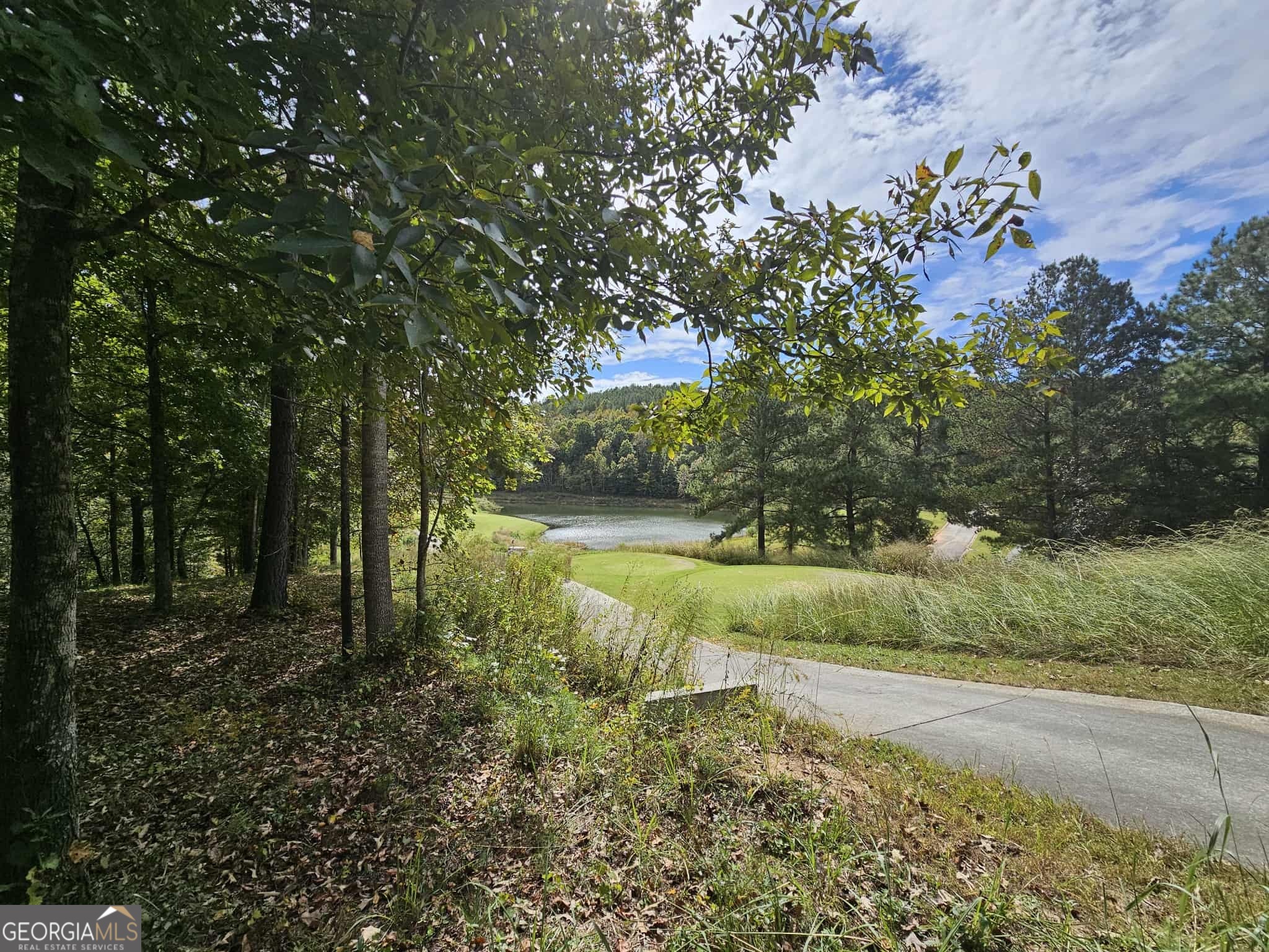 42 Lookout Point Toccoa, GA 30577 - Photo 13 of 26 a view of a yard with a tree