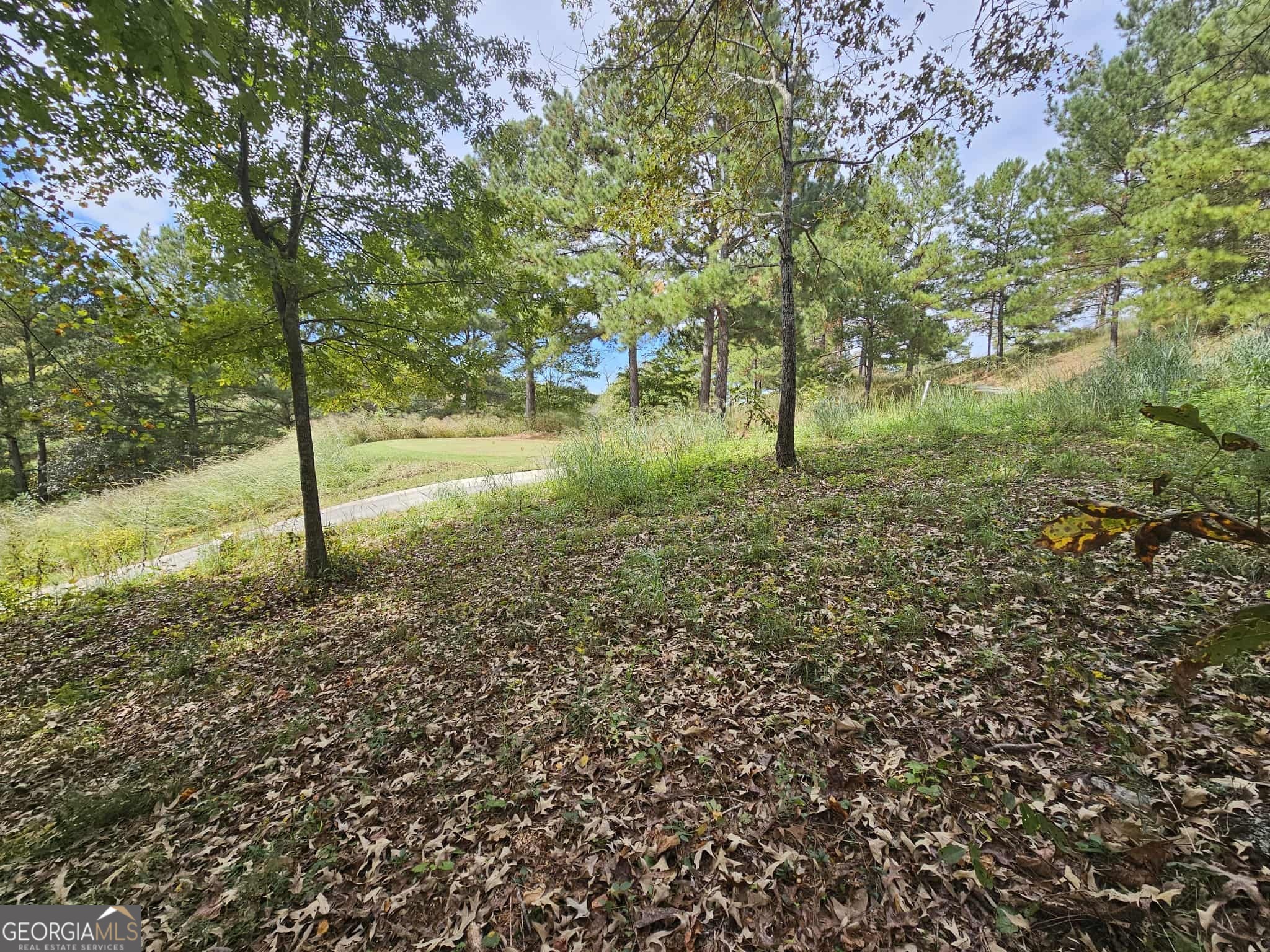 42 Lookout Point Toccoa, GA 30577 - Photo 14 of 26 a view of a yard with lots of green space