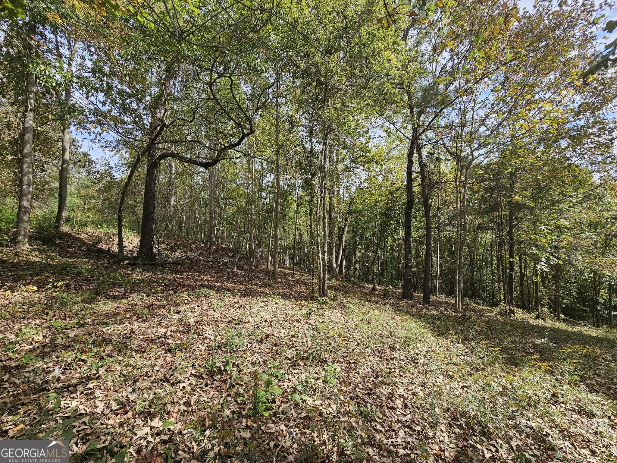 42 Lookout Point Toccoa, GA 30577 - Photo 15 of 26 a view of outdoor space with trees