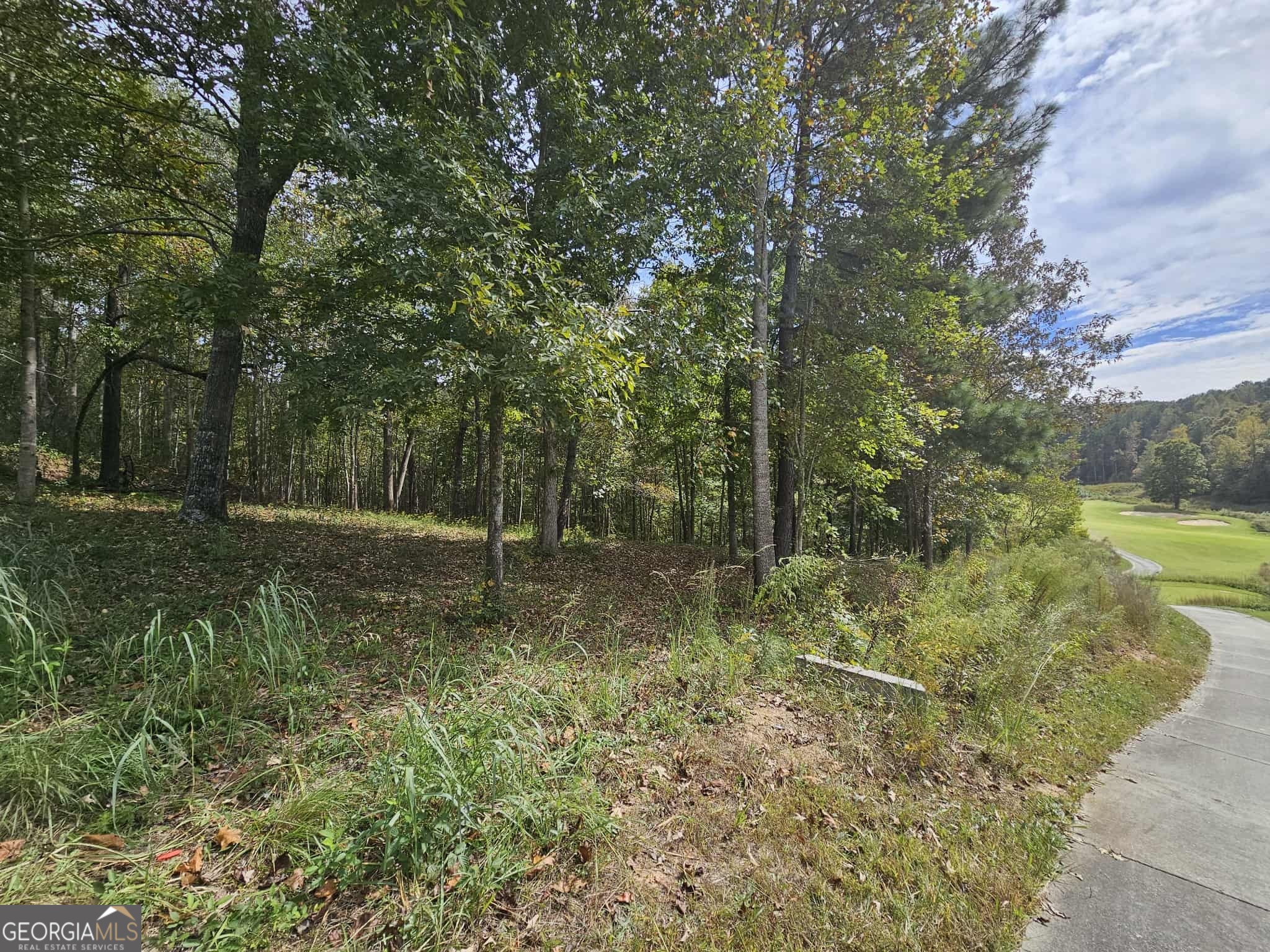 42 Lookout Point Toccoa, GA 30577 - Photo 16 of 26 a view of a field with trees
