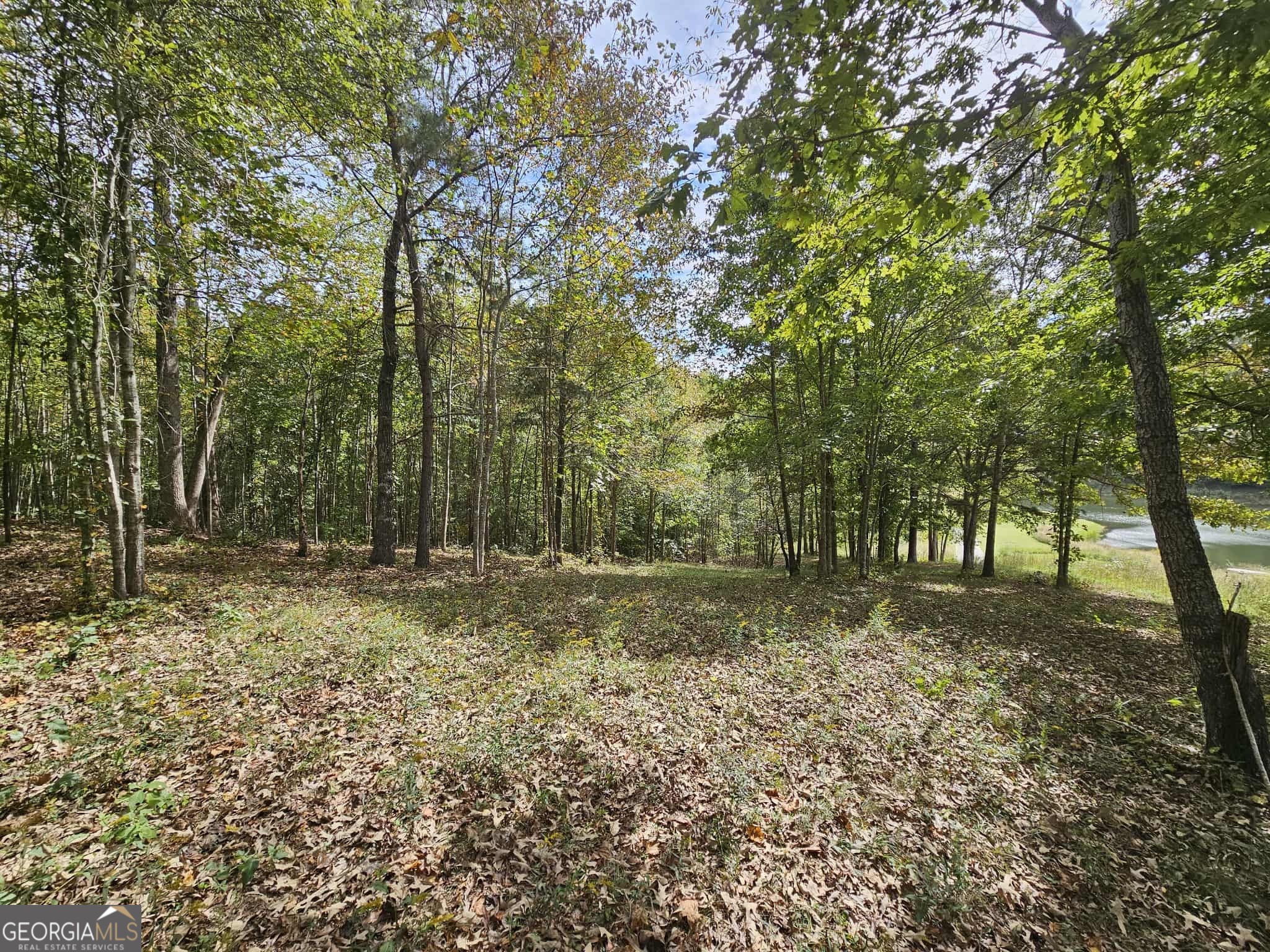 42 Lookout Point Toccoa, GA 30577 - Photo 17 of 26 a fire hydrant in the middle of a field
