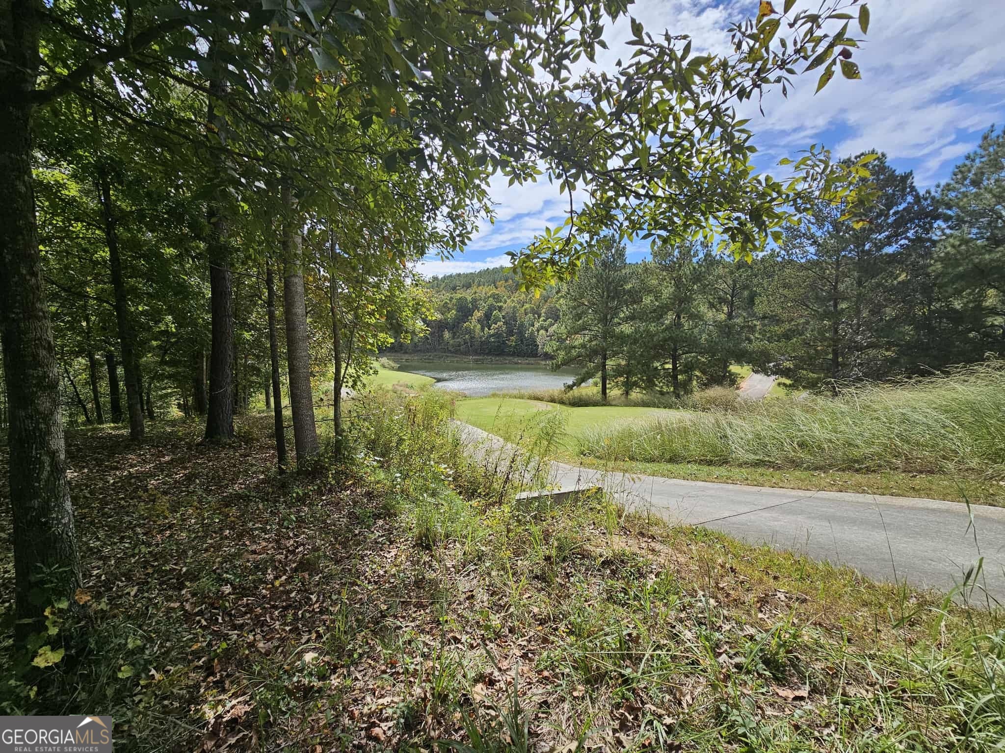 42 Lookout Point Toccoa, GA 30577 - Photo 6 of 26 a view of a lake with a yard and large trees