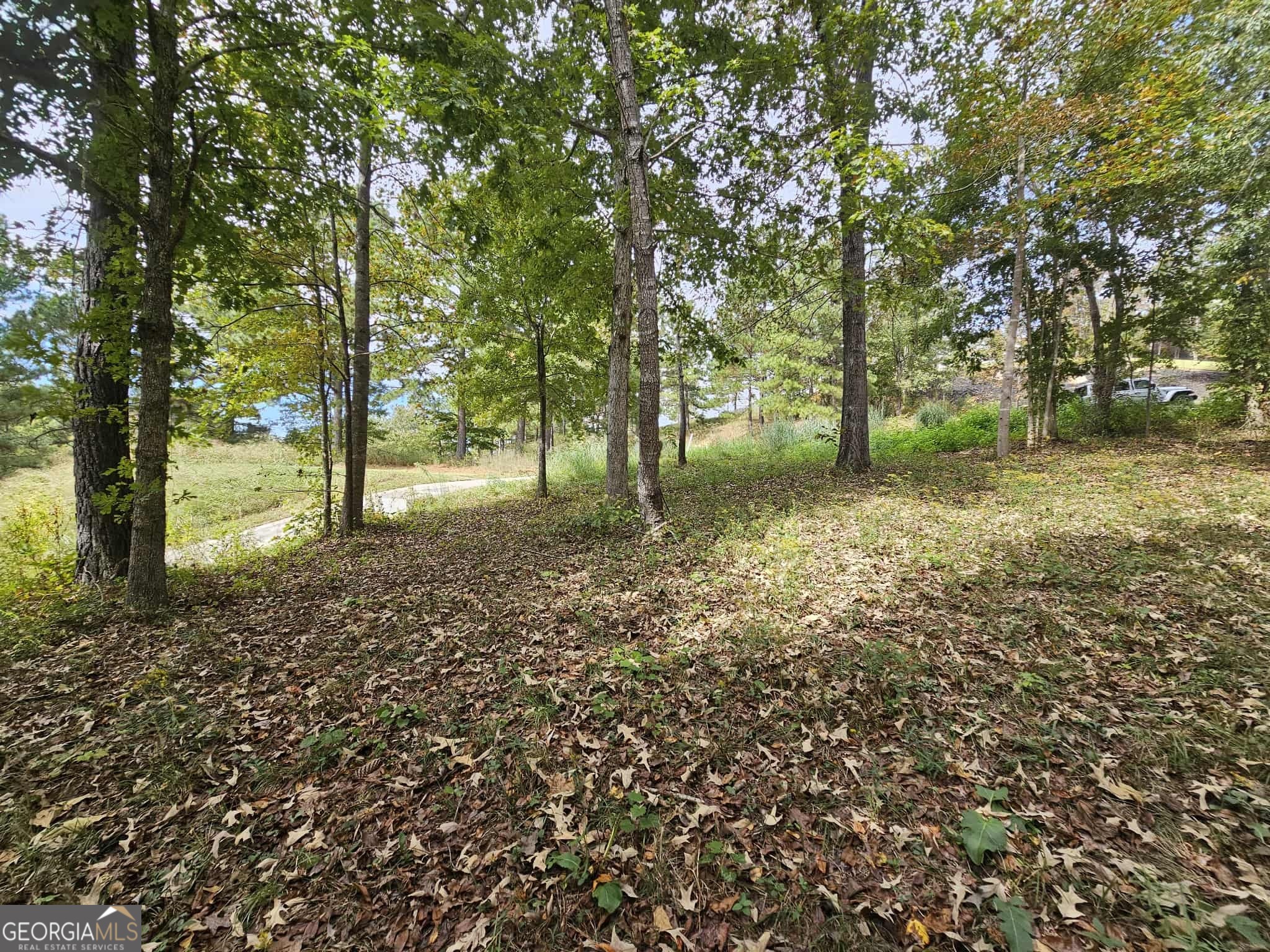 42 Lookout Point Toccoa, GA 30577 - Photo 9 of 26 a view of a yard with tree s