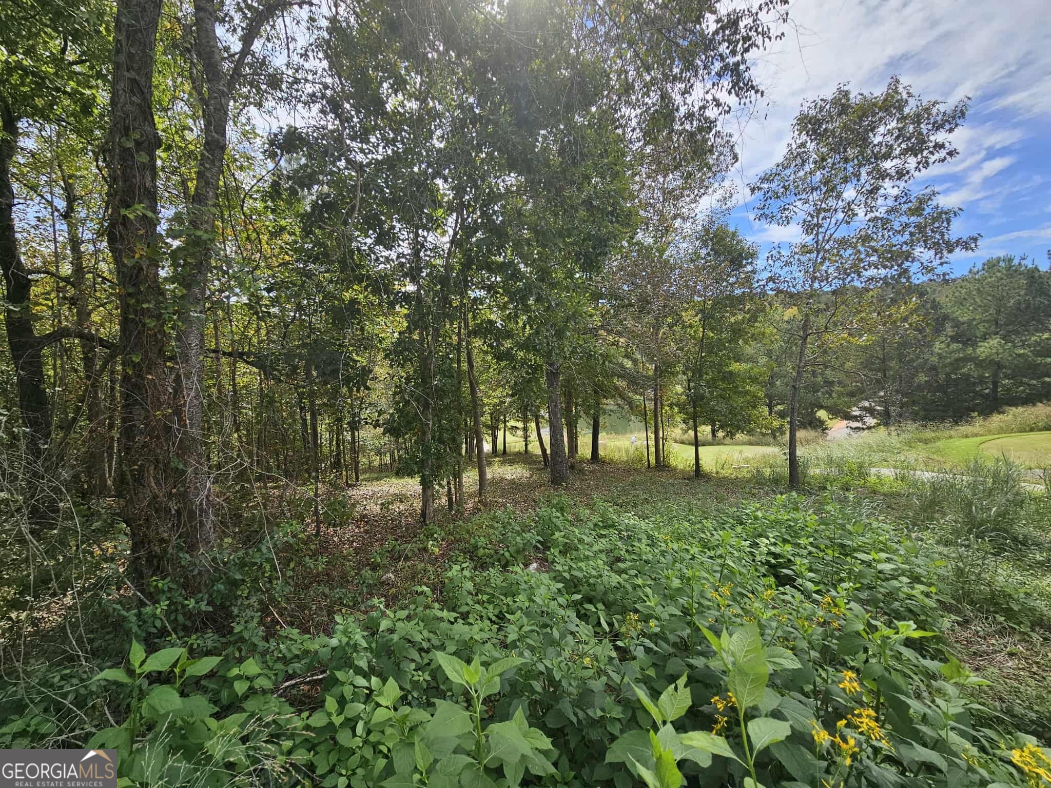 42 Lookout Point Toccoa, GA 30577 - Photo 10 of 26 a view of a lush green forest