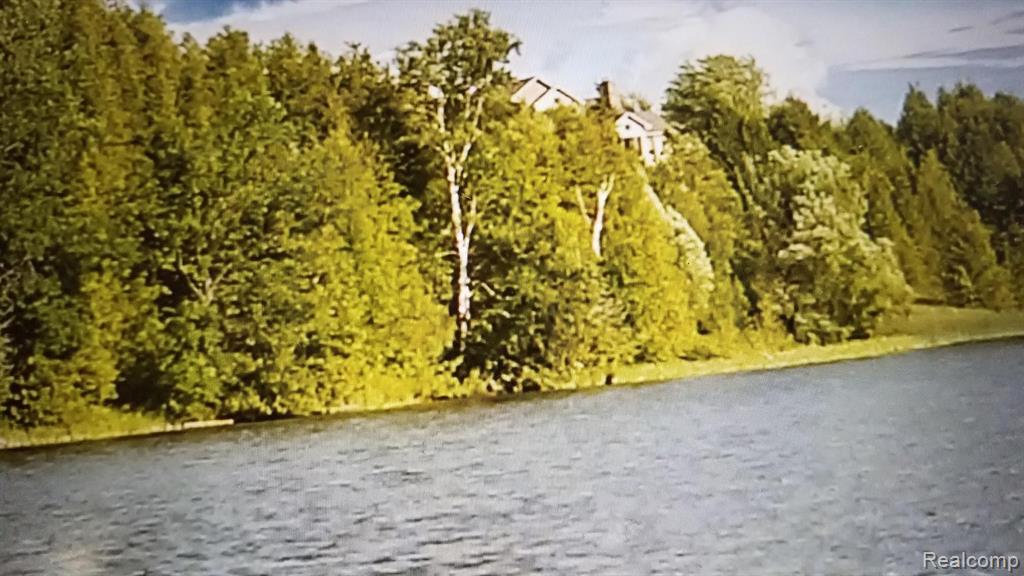 Lot F Swan Pointe Drive Cheboygan, MI 49721 - Photo 3 of 22