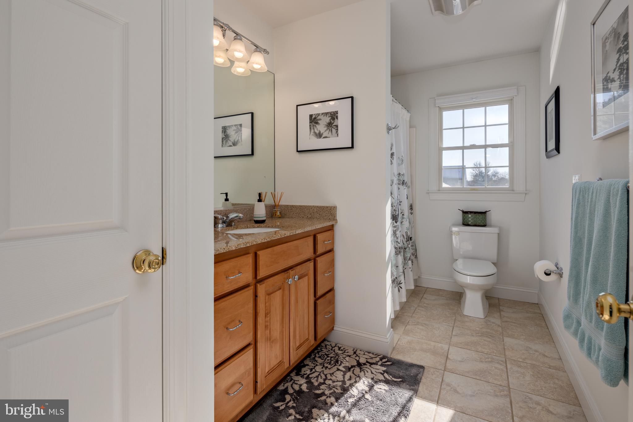 115 Cedar Road Chester, MD 21619 - Photo 46 of 71 a bathroom with a granite countertop sink toilet and shower