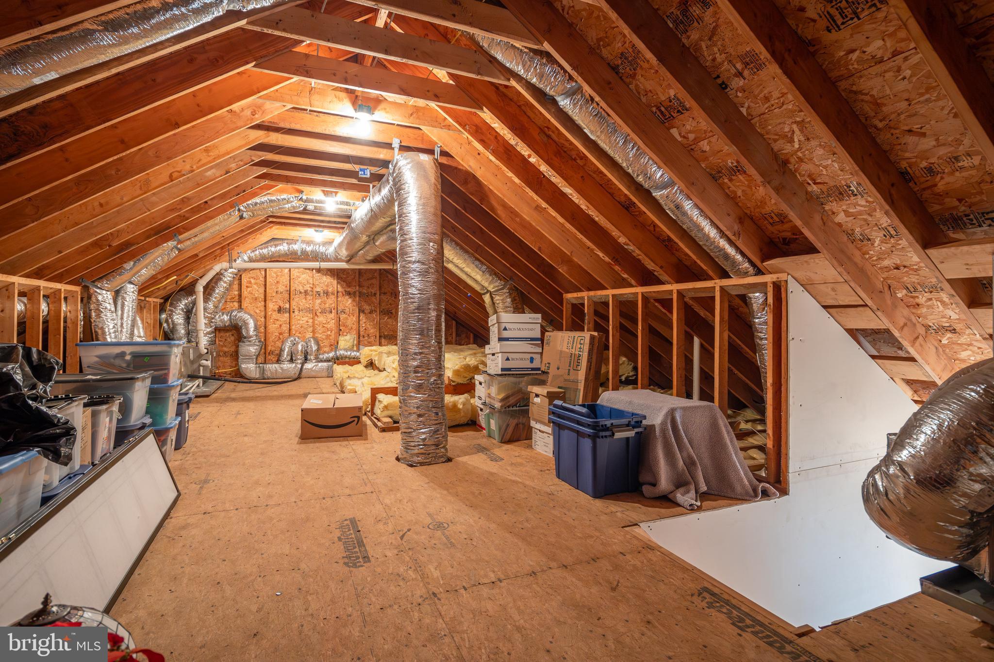 115 Cedar Road Chester, MD 21619 - Photo 53 of 71 Walk Up Floored Attic