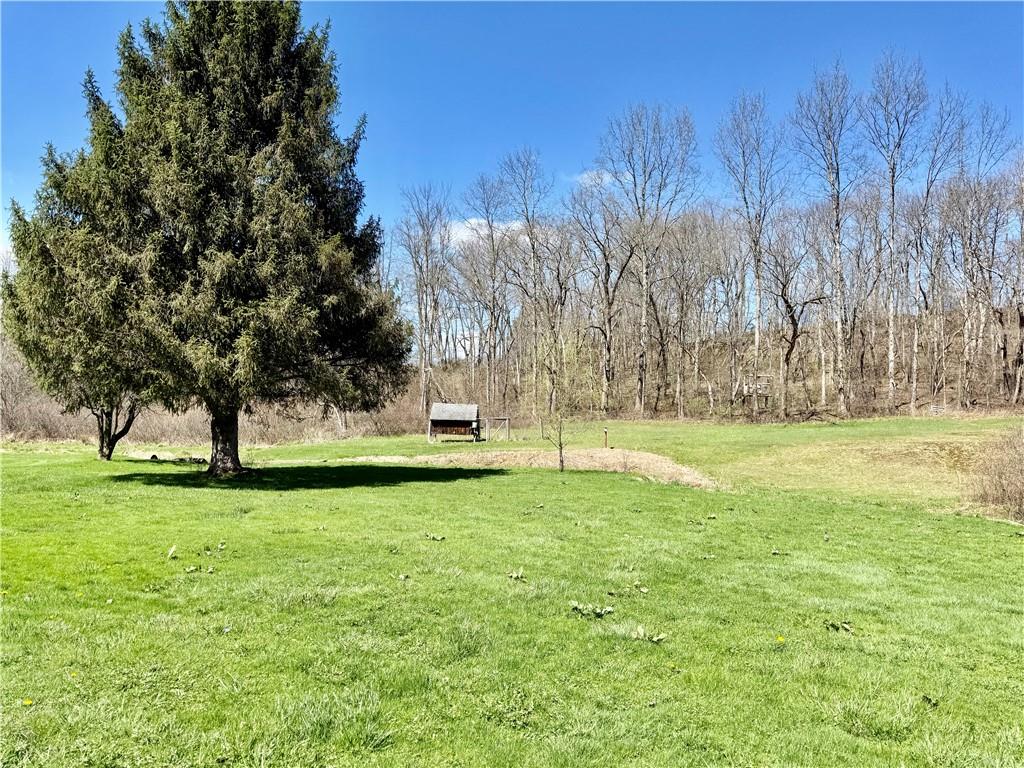 125 McGrady Hollow Road Butler, PA 16002 - Photo 5 of 31