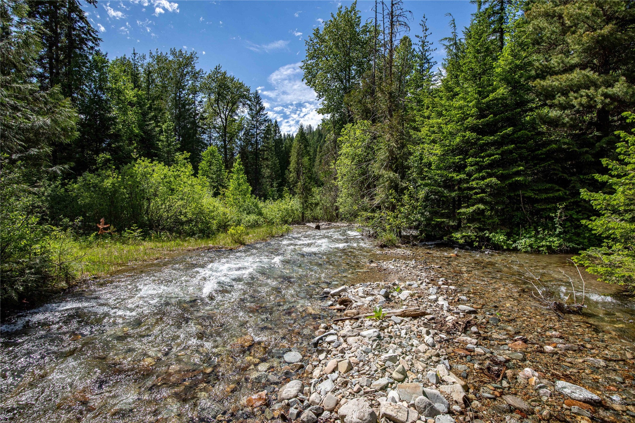 189 Blue Creek Road Heron, MT 59844 - Photo 65 of 83 Gallery Image 65
