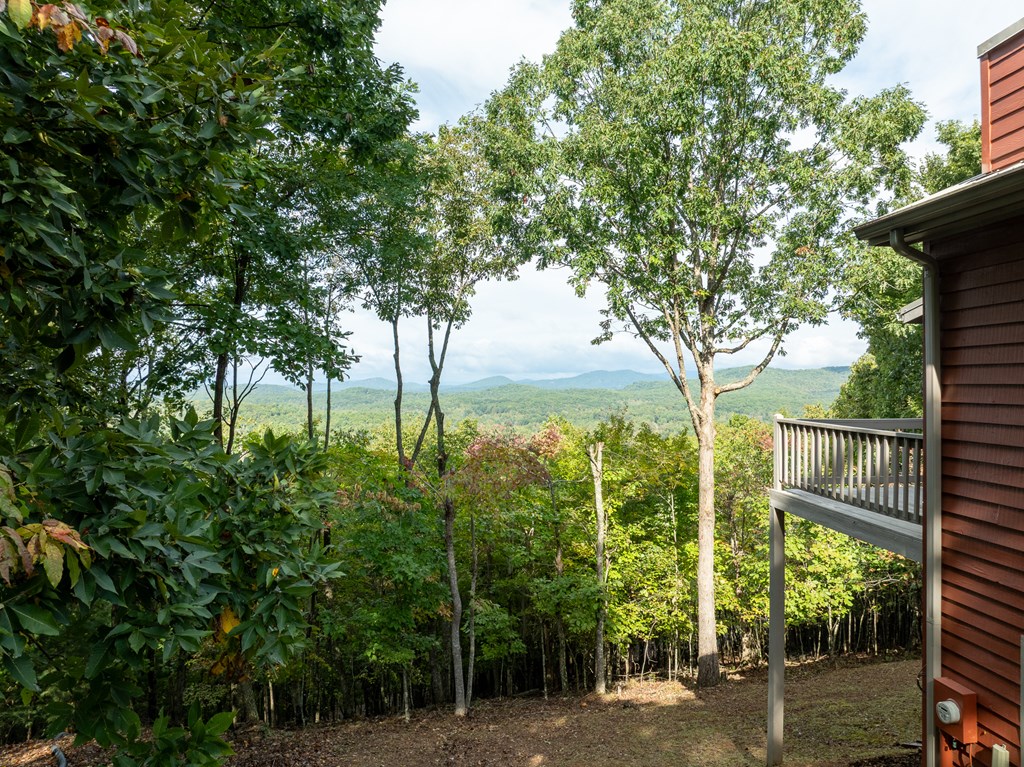 175 Oak Ledge Road Morganton, GA 30560 - Photo 26 of 62