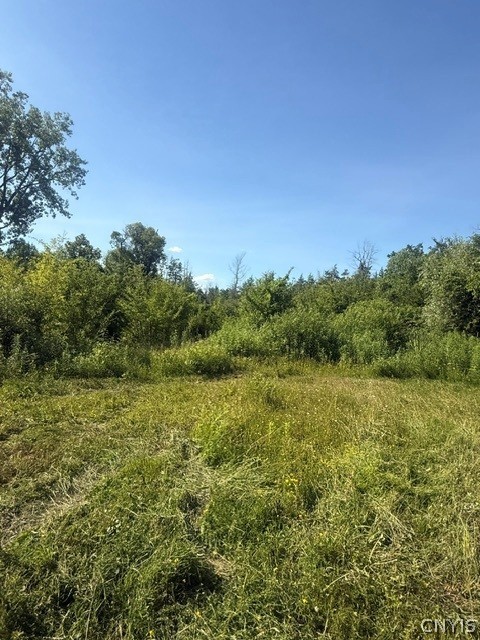 Townline Road Rome, NY 13440 - Photo 10 of 14