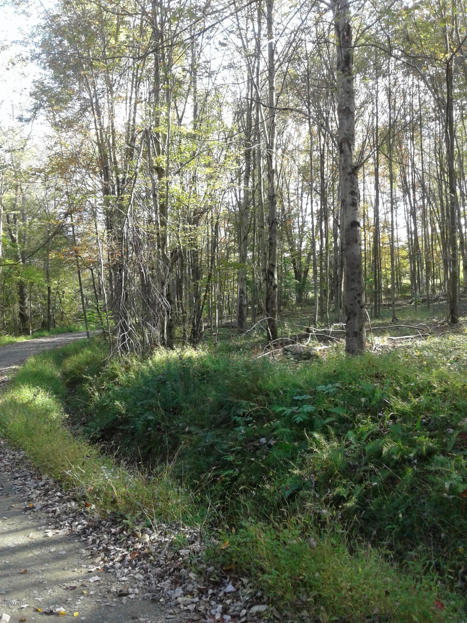 Lot 49 Long River Road Newfoundland, PA 18445 - Photo 2 of 9