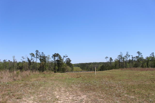 13126 County Line Road Fountain, FL 32438 - Photo 29 of 45 Gallery Image 29