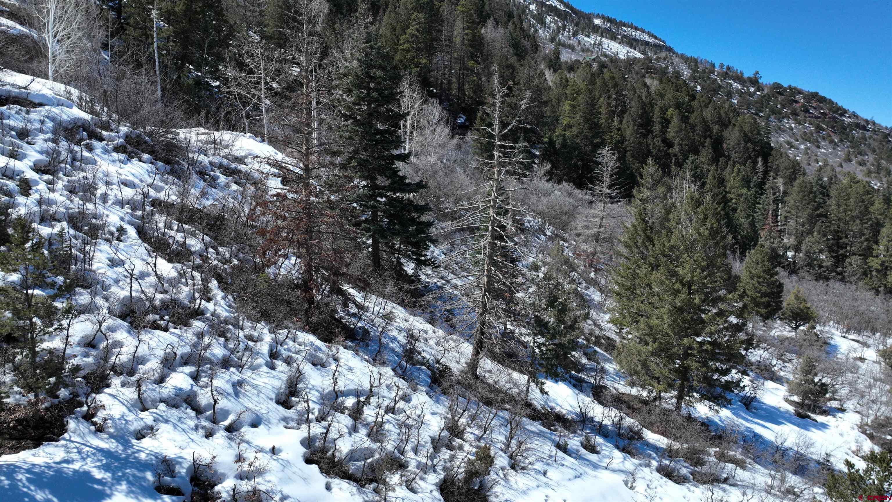 51 Elk Ridge Trail Ridgway, CO 81432 - Photo 8 of 10 Gallery Image 8