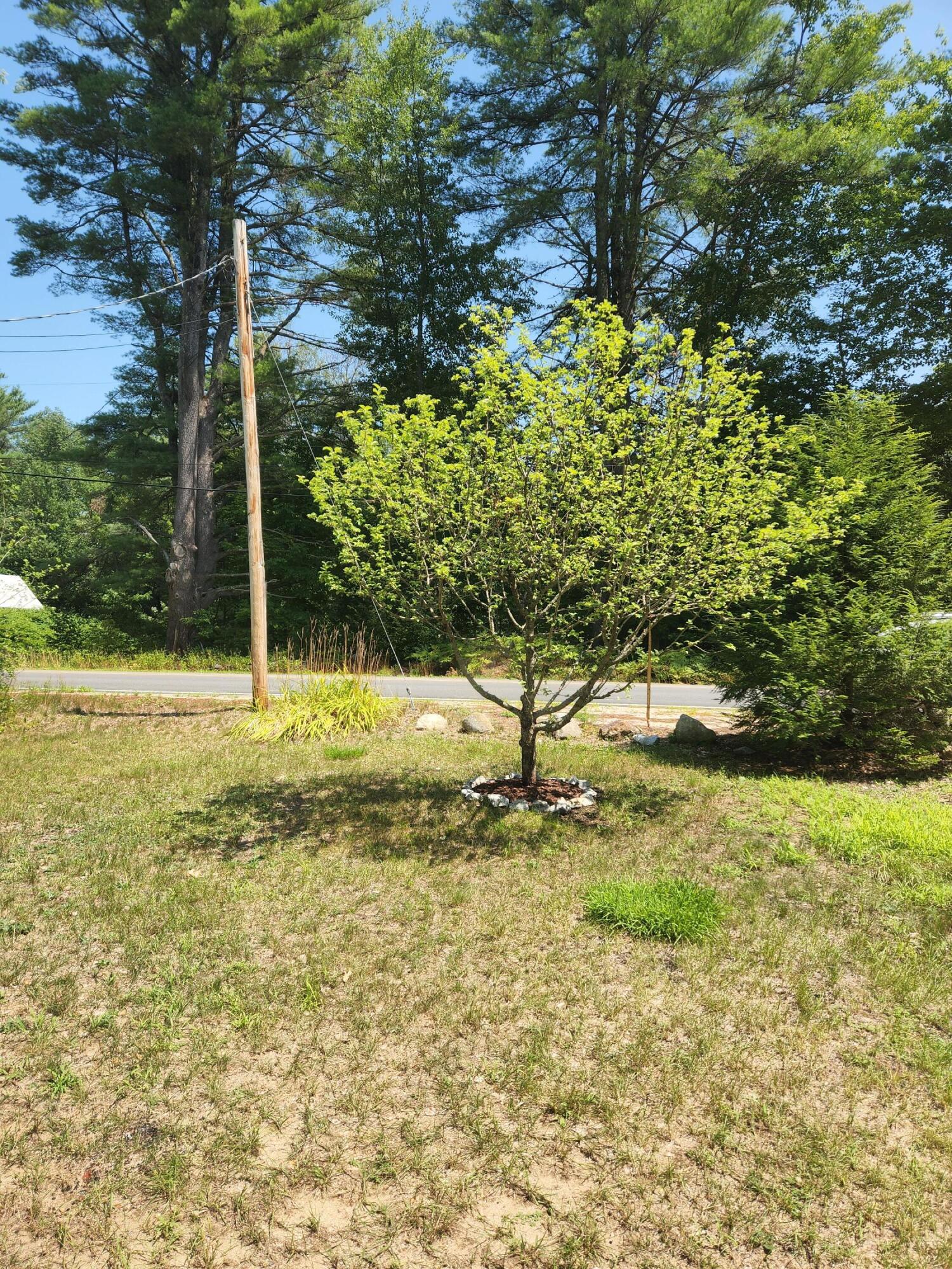 318 North Fryeburg Road Fryeburg, ME 04037 - Photo 7 of 22 Apple Trees