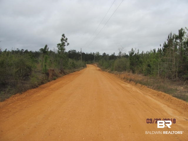 0 Barlow Road Millry, AL 36558 - Photo 2 of 3