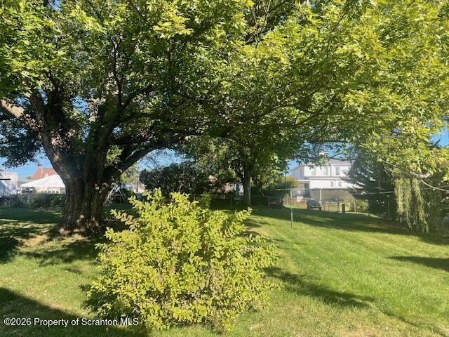 147 2nd Street Old Forge, PA 18518 - Photo 12 of 13 a view of a yard with plants and large trees