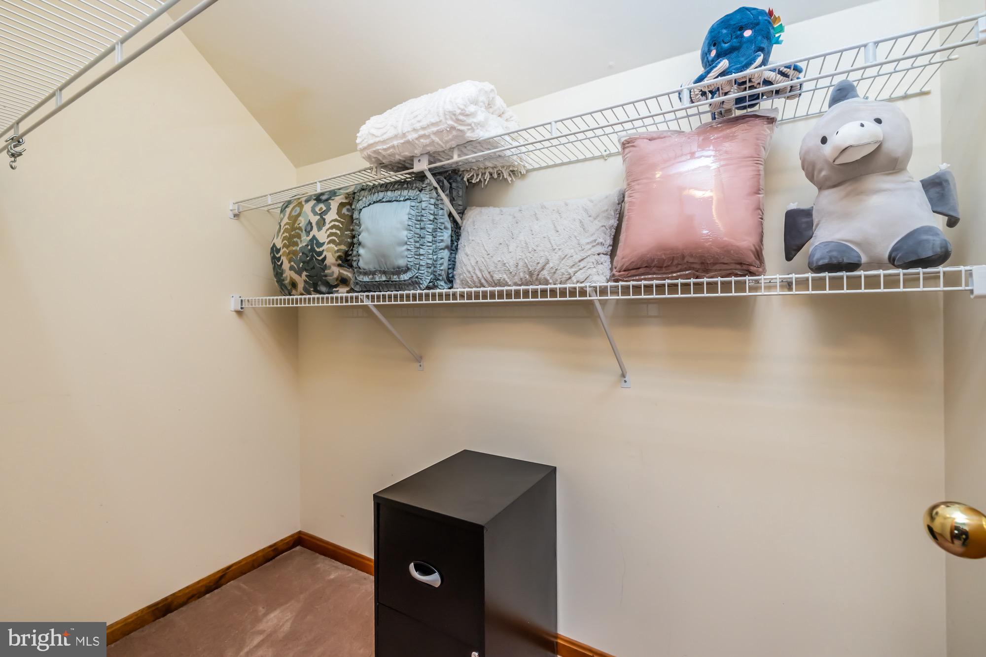 121 Snyder Road Pottstown, PA 19464 - Photo 45 of 49 Hall walk in closet