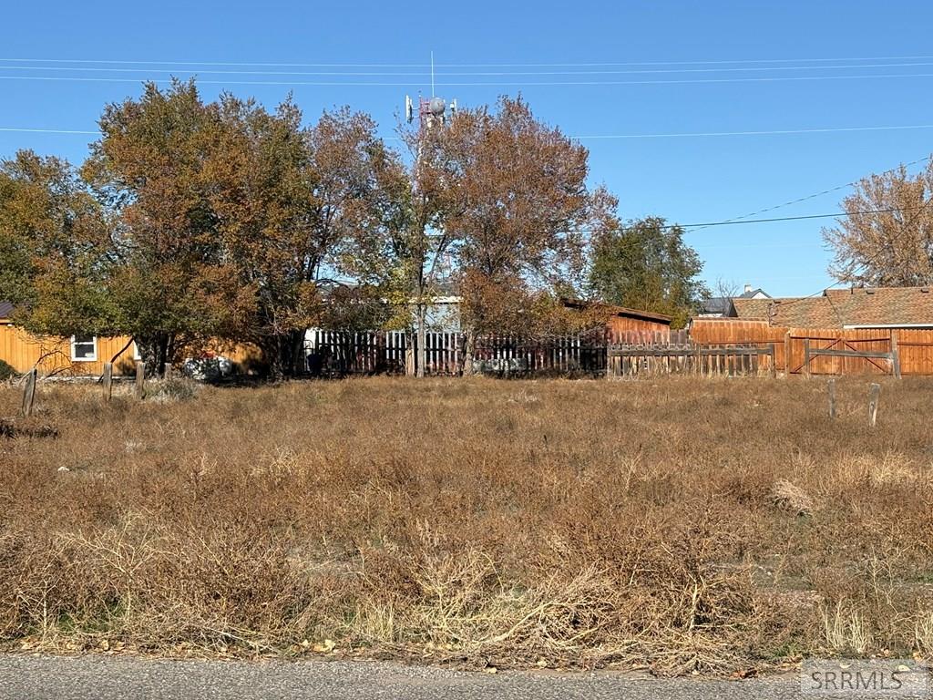 1110 East Valley Road Challis, ID 83226 - Photo 3 of 5