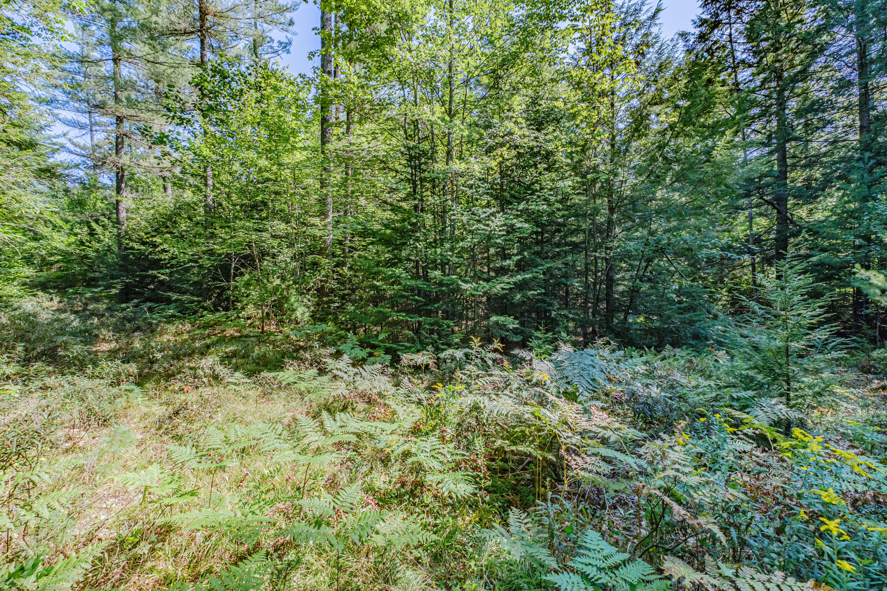 Lot 22 A Forest Denmark, ME 04022 - Photo 9 of 11 78E4A935-256A-43E1-8BEB-B7205A9ACFF8