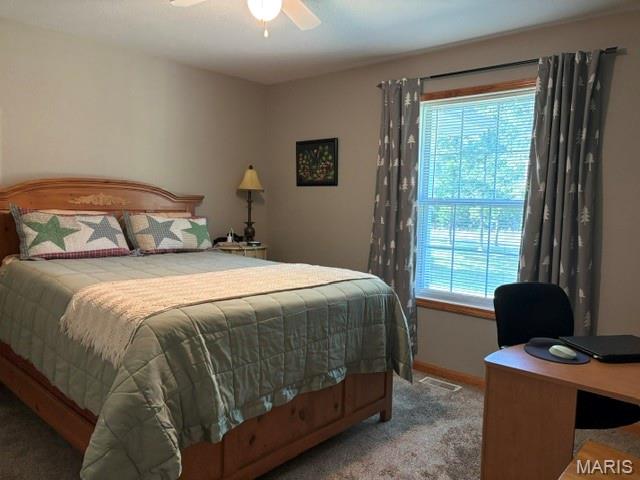 484 Dunham Road St. James, MO 65559 - Photo 63 of 85 Gallery Image 63
