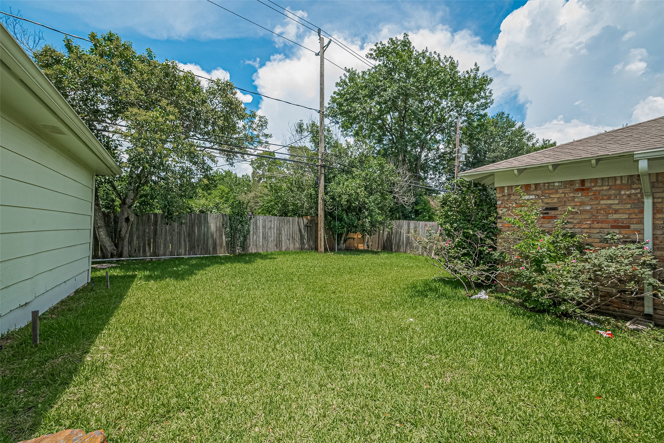 4834 Sanford Road Houston, TX 77035 - Photo 44 of 46 a view of a backyard with plants and large trees