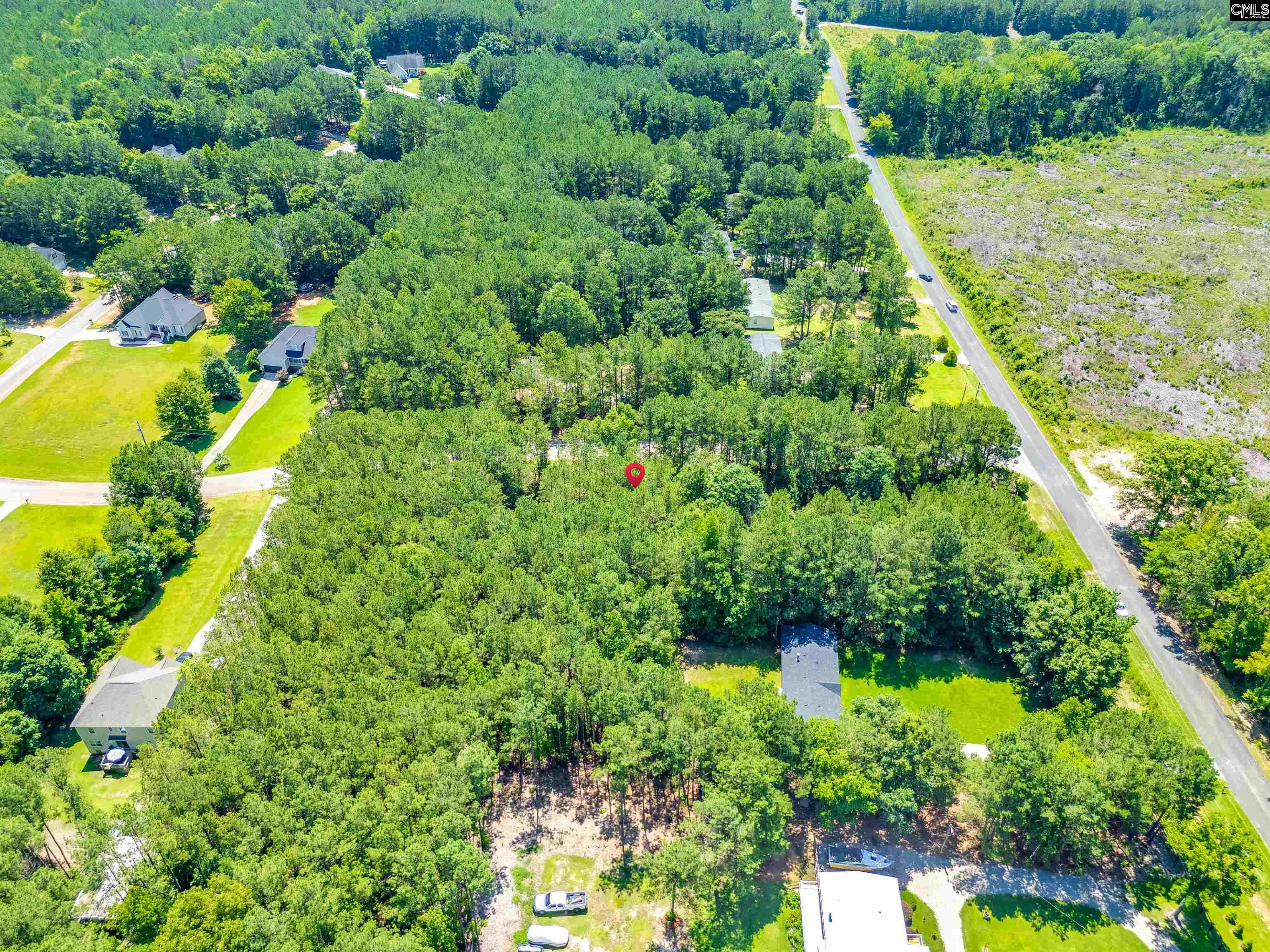 1021 State Rd S-40-1692 Blythewood, SC 29016 - Photo 8 of 12