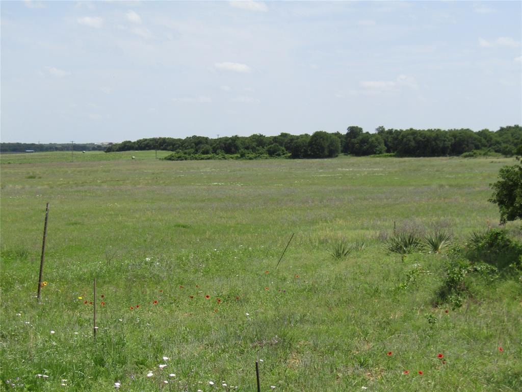268 County Road 268 Rising Star, TX 76471 - Photo 12 of 22