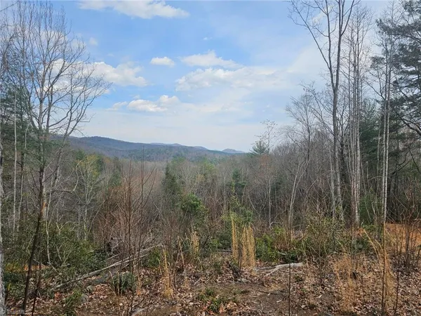 $129,000 | Lot 2 Widow Mountain Drive, Hays, NC 28635