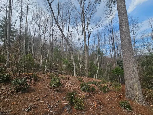 $129,000 | Lot 2 Widow Mountain Drive, Hays, NC 28635