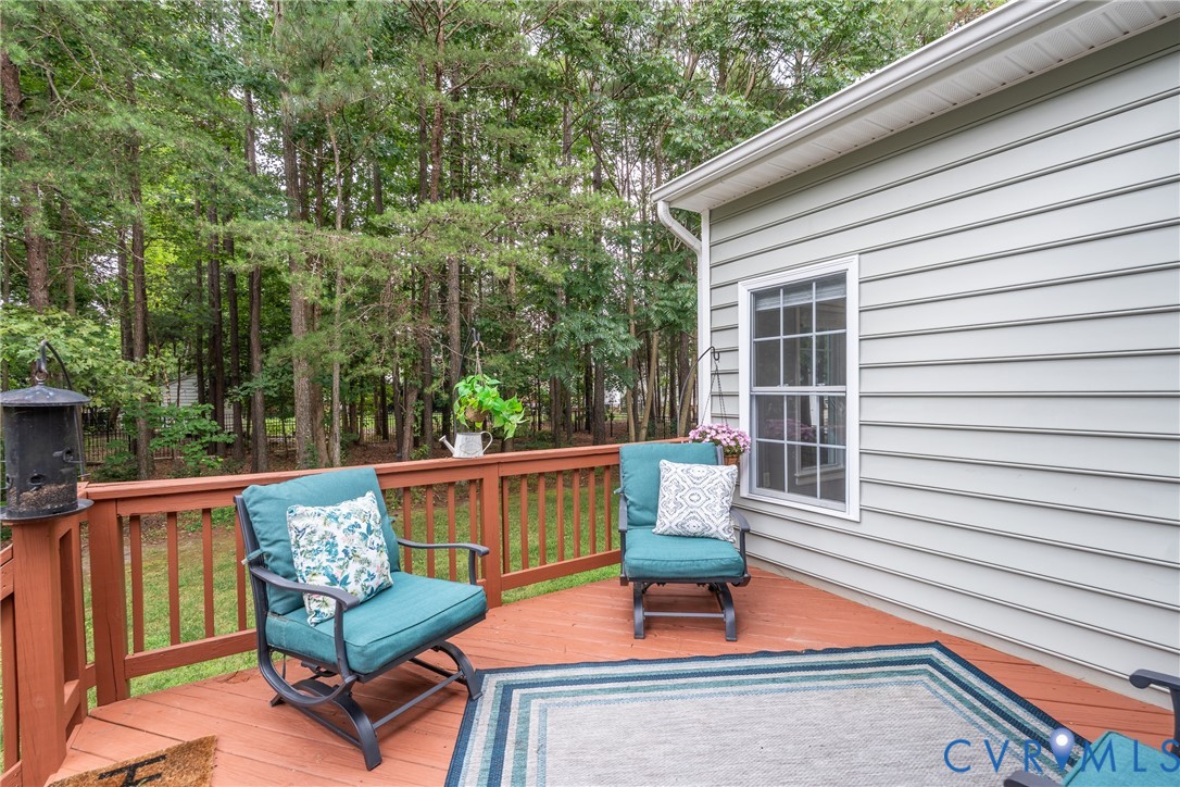 10437 Virginia Rail Court Providence Forge, VA 23140 - Photo 44 of 56