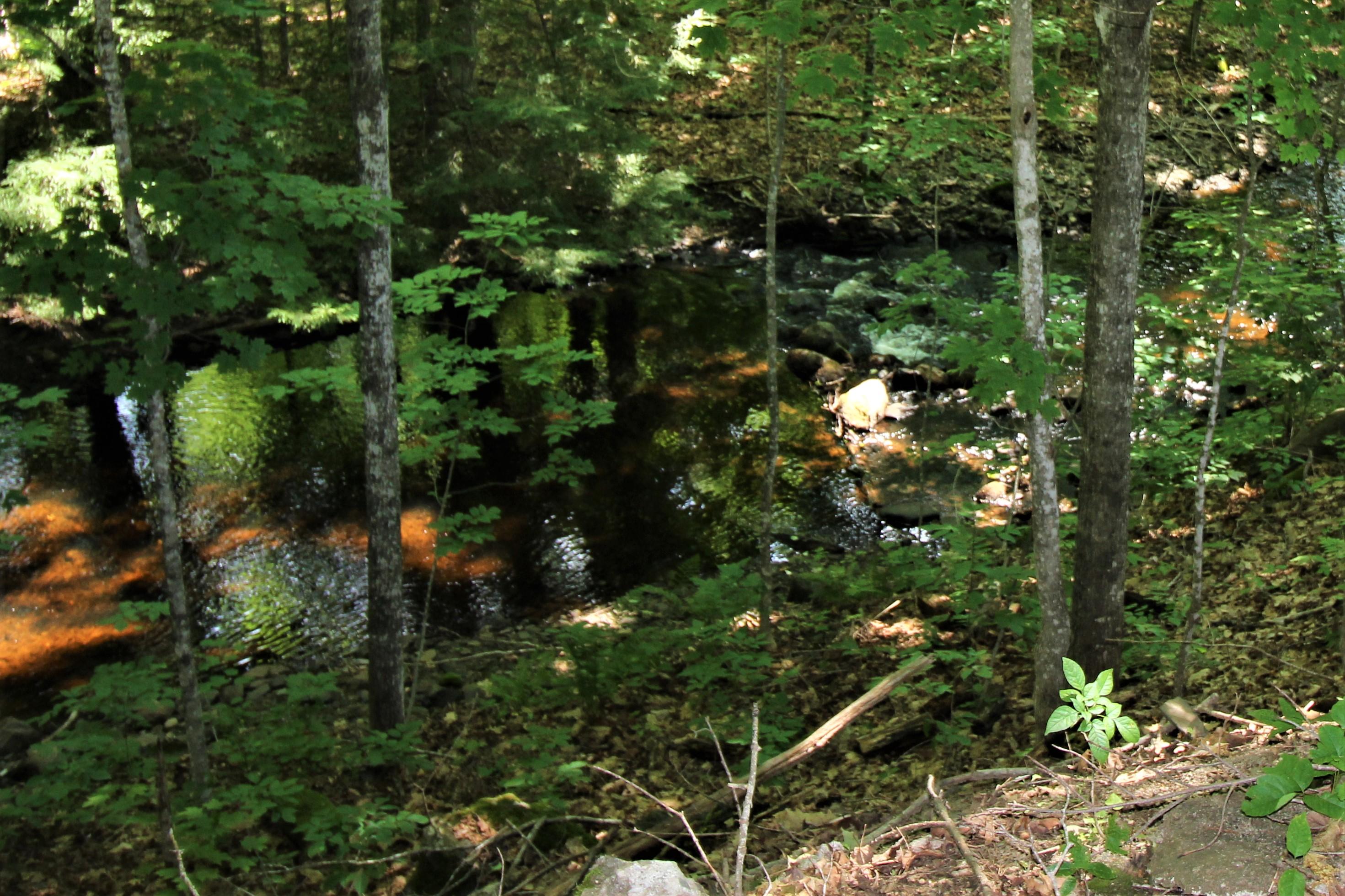 187 Damascus Road Carmel, ME 04419 - Photo 6 of 22 IMG_4989 (2)