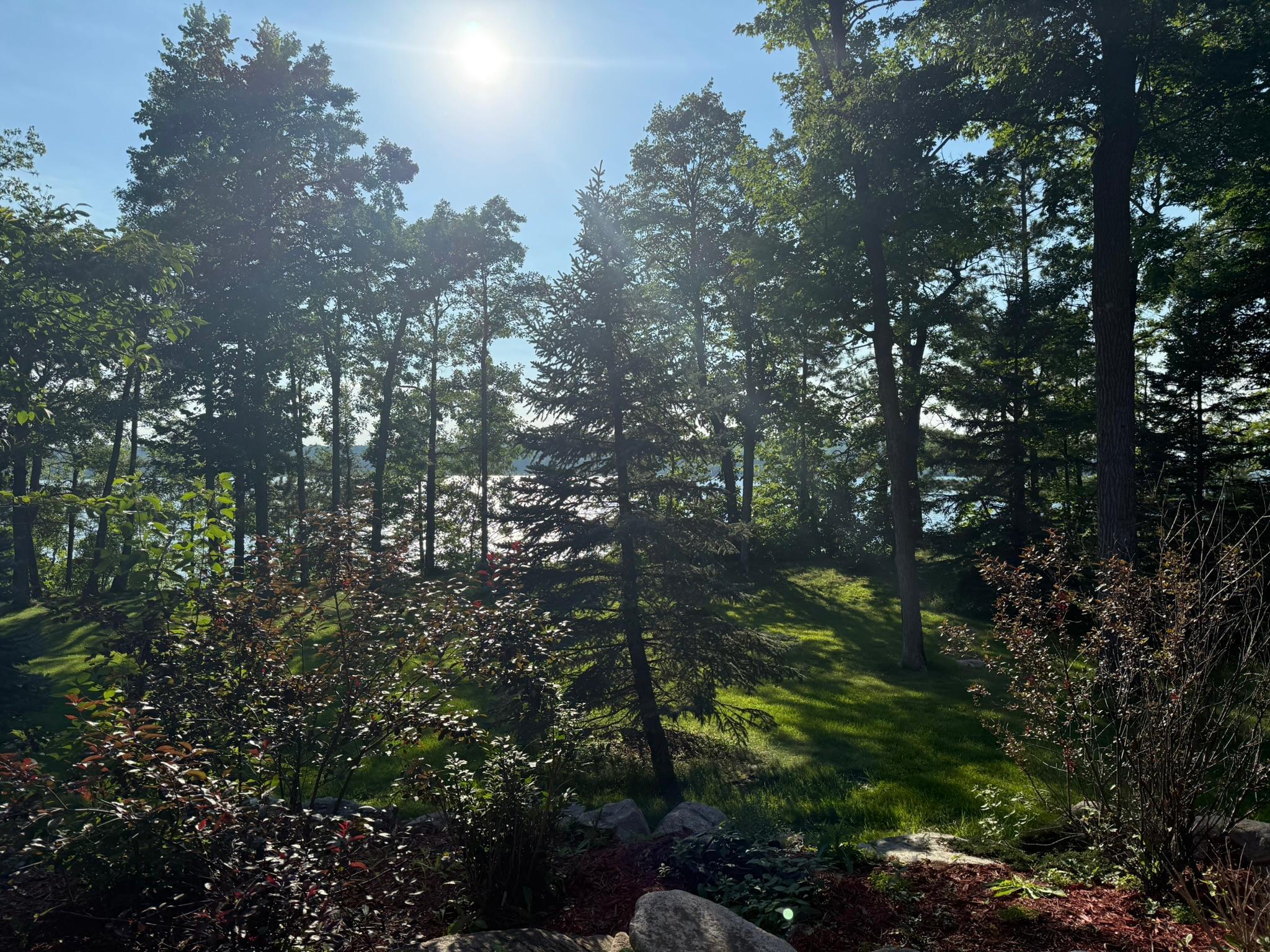 7933 Templer Point Drive Northwest Walker, MN 56484 - Photo 21 of 31