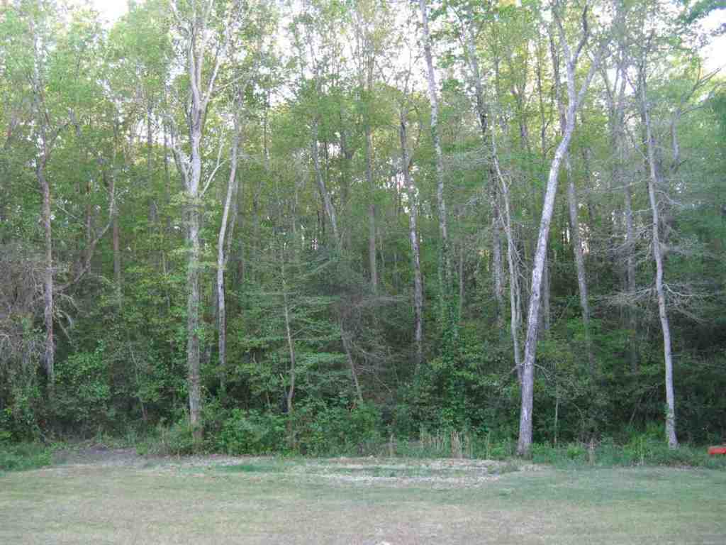 206 Hannah Circle Anderson, SC 29621 - Photo 21 of 21