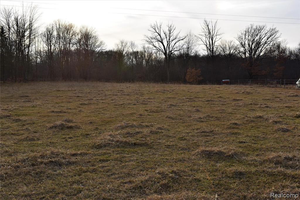 0 Bull Run Road Fowlerville, MI 48836 - Photo 7 of 10 Gallery Image 7