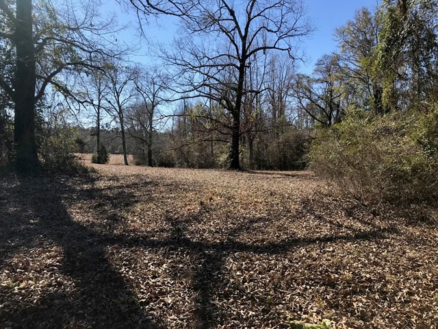 Lot 1 Holiness Church Road Wagener, SC 29164 - Photo 9 of 22