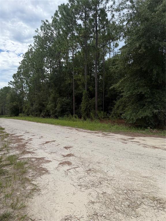0 Southwest 48th Lane Road Ocala, FL 34481 - Photo 4 of 9 Gallery Image 4