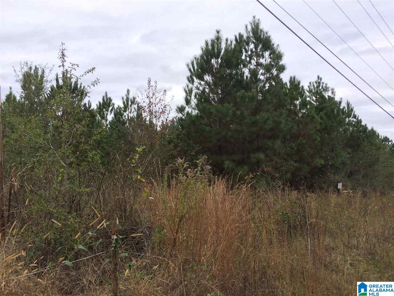 Page Spring Road, Unit 4 Arab, AL 35016 - Photo 8 of 29