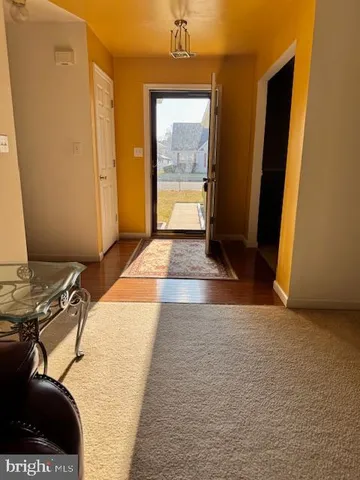 a view of a room with wooden floor and a potted plant