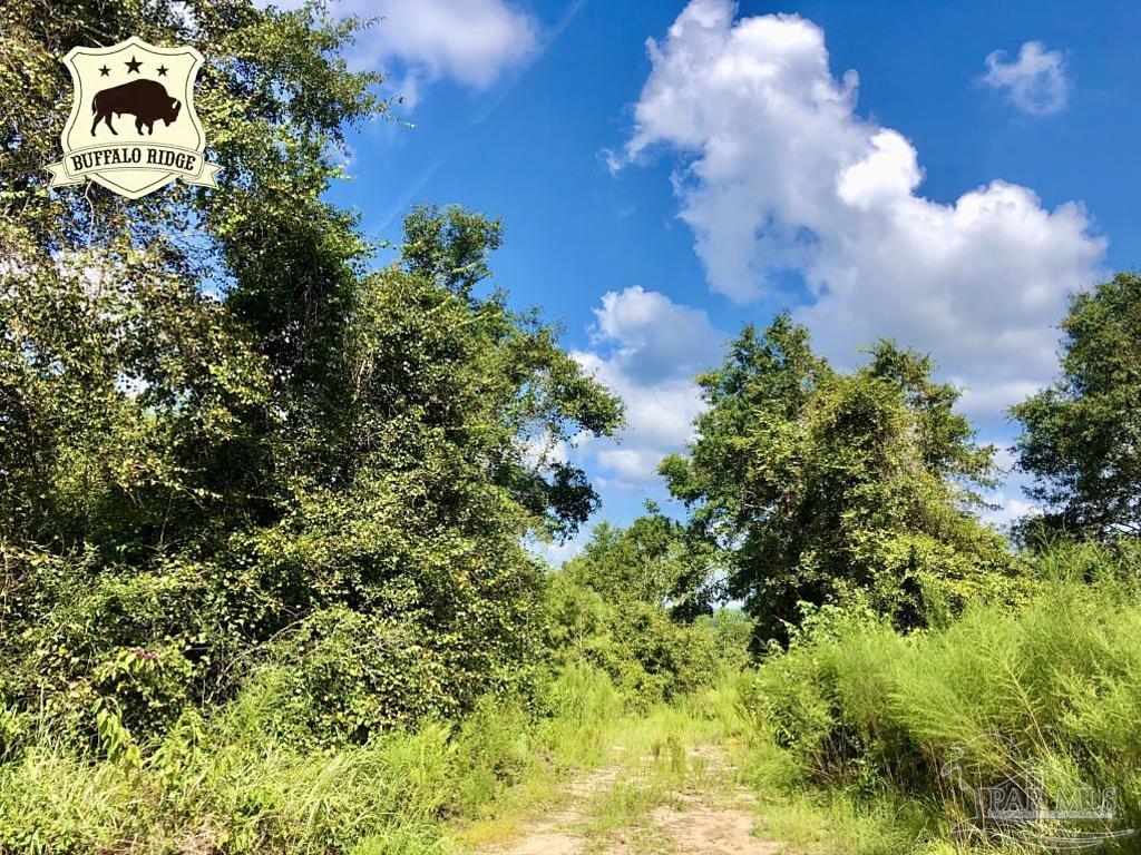 Lot 9-bs Buffalo Ridge Road Pace, FL 32571 - Photo 1 of 16