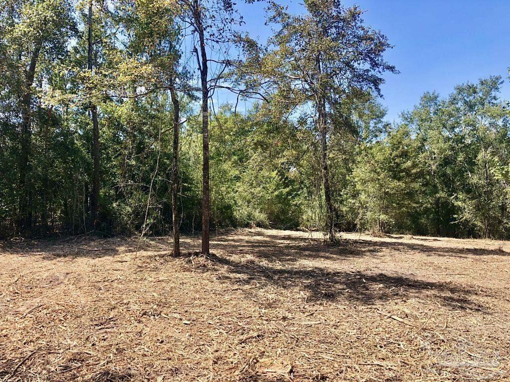 Lot 9-bs Buffalo Ridge Road Pace, FL 32571 - Photo 11 of 16