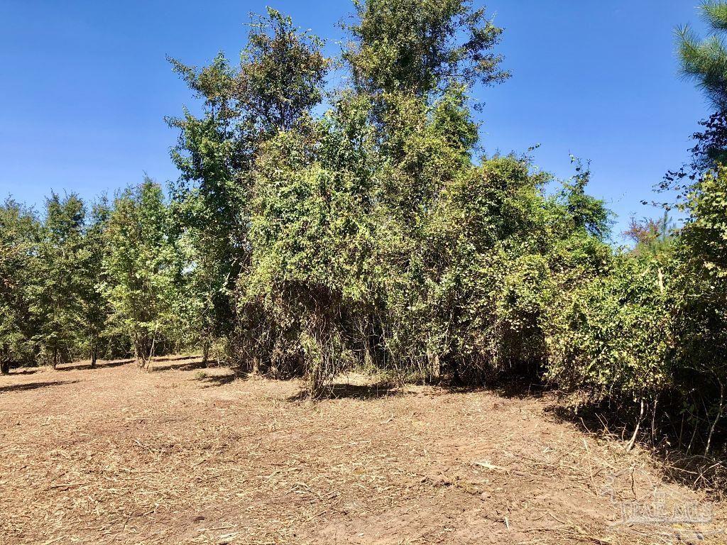 Lot 9-bs Buffalo Ridge Road Pace, FL 32571 - Photo 12 of 16